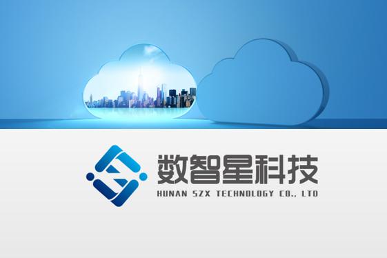 信息系統集成服務;網絡技術服務;5g通信技術服務;軟件開發;網絡設備