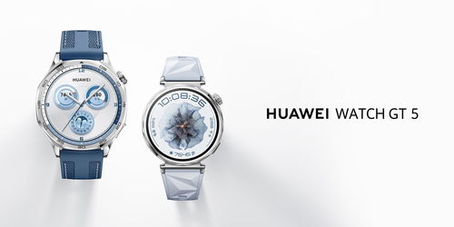華為Watch GT 5智能手表國行售價公布 雙尺寸不銹鋼機(jī)身，1488元起